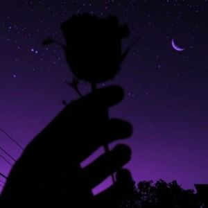 Meet your Posher, Jada